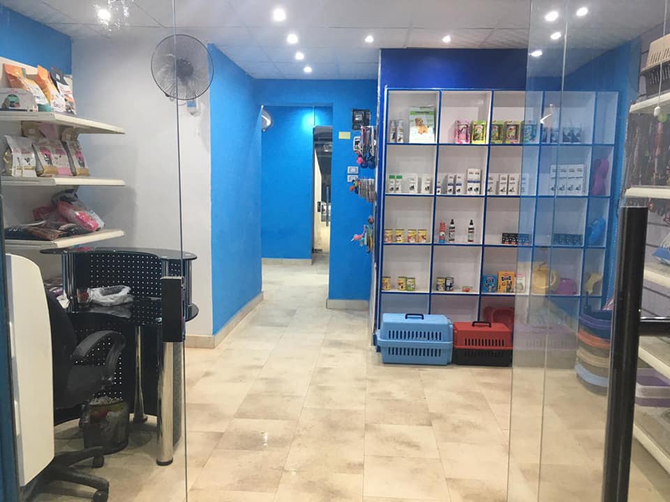 عيادة ايجى فيت البيطرية